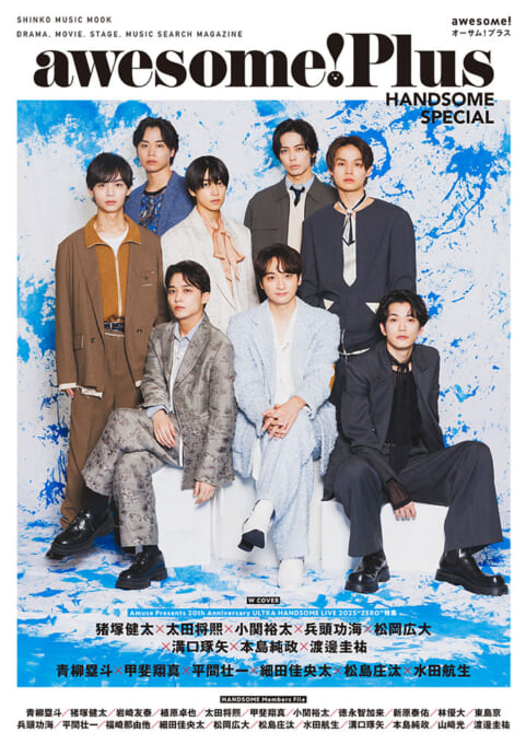 awesome! Plus HANDSOME SPECIAL〈シンコー・ミュージック・ムック〉
